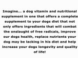 Dog Health Supplements | Dog Health Vitamins