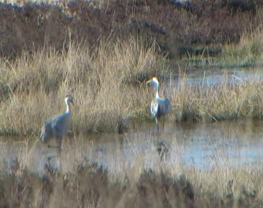 2010 par monts et par vaux