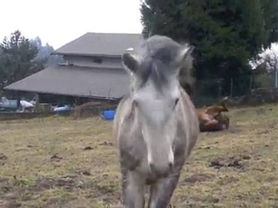 Rio & Belfy (10/01/11)