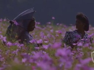 The Color Purple: Everything Wants to Be Loved