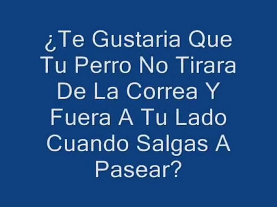 Como Educar Un Perro - Aprende A Educar Un Perro