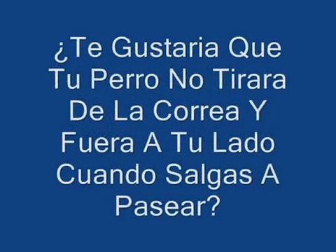 Como Educar Un Perro - Aprende A Educar Un Perro