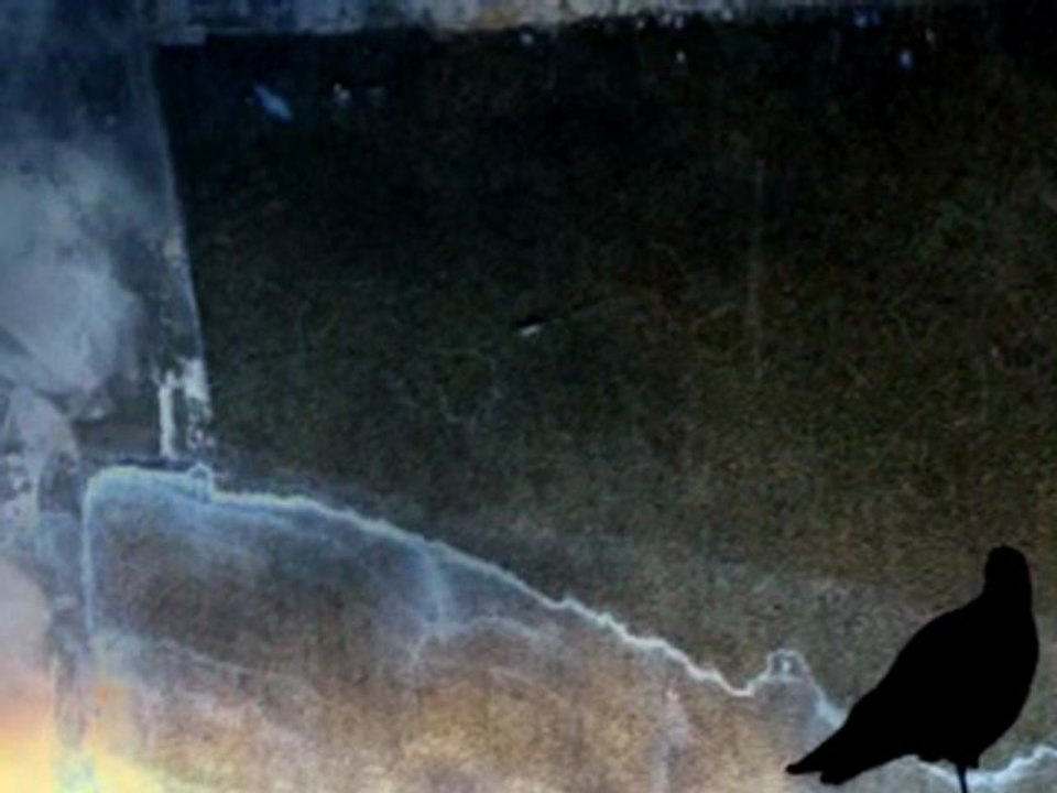 Comme un oiseau sans ailes (Reza Espili - Véronique Sauger)