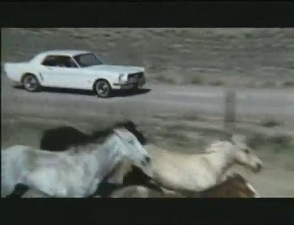 The Original Ford Mustang