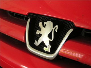 Gana Dinero Con Encuestas Por Internet