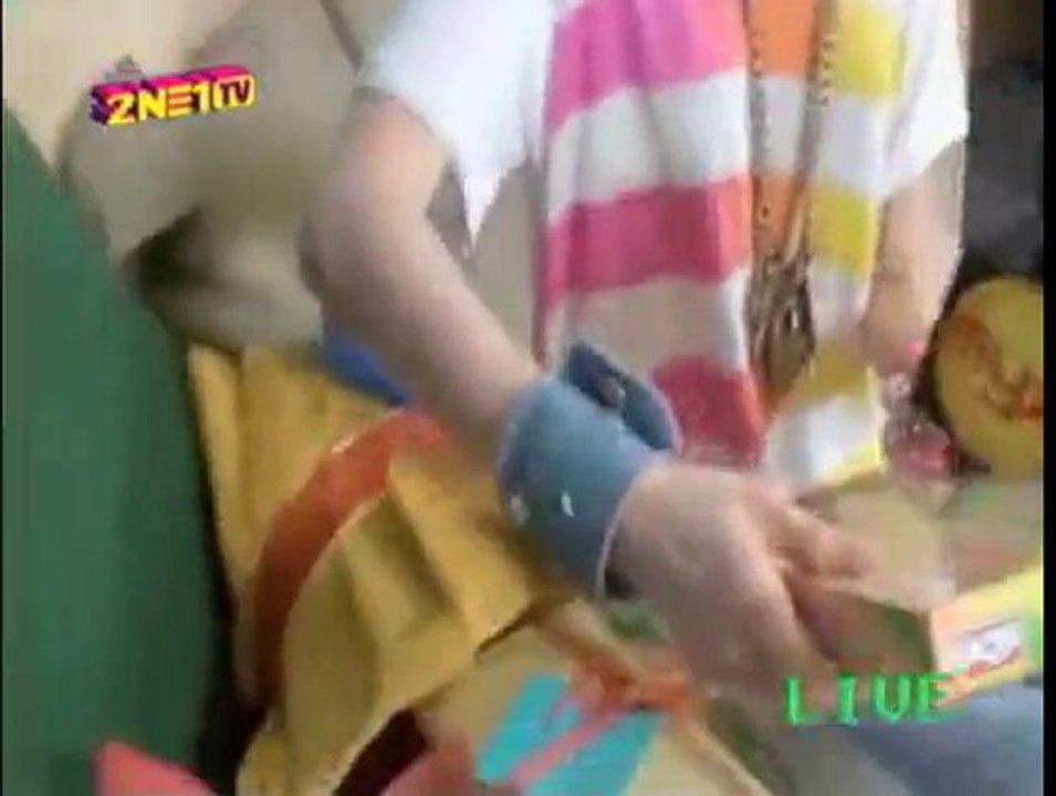 090901 2NE1TV 24hr Pirate Clips