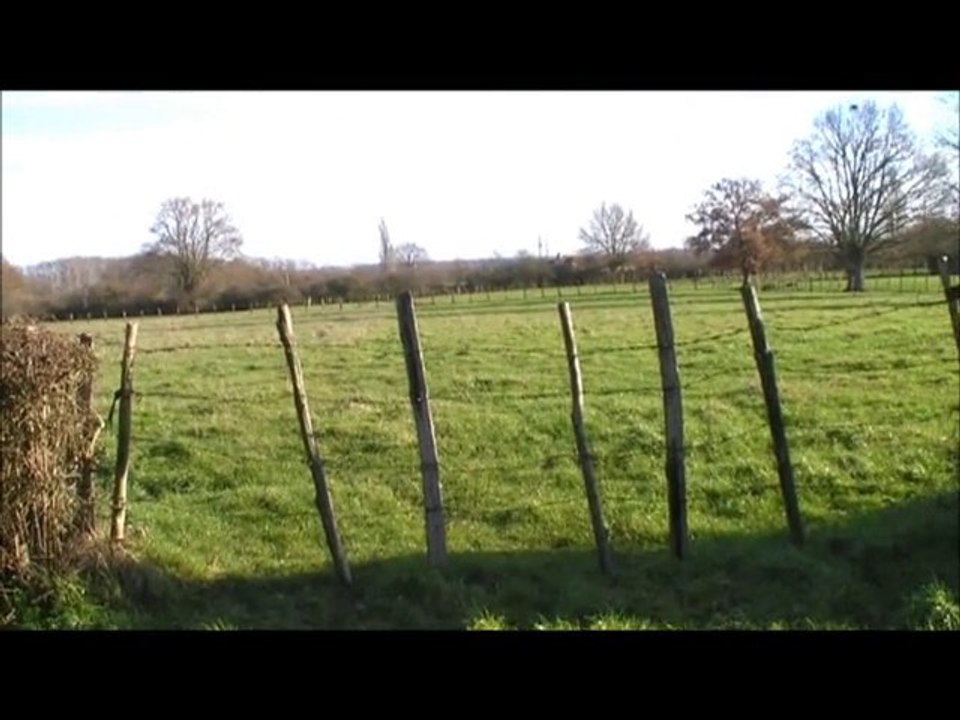 Pur jus de cambrousse Sarthoise