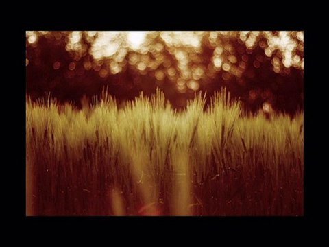 SubhanAllah / Maher Zain feat Mesut Kurtis