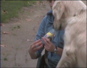 Pourquoi récupérer les bouchons ?