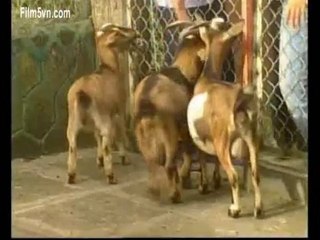 Film5vn.com_QueHuong_6 (LN)_chunk_2