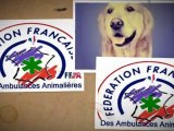 Scanner chien herault 34
