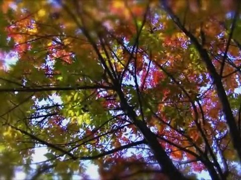 N'oldu Bu Gönlüm-Müziksiz İlahi