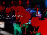 5 Blood For Navajos Canyon Voices live n°1