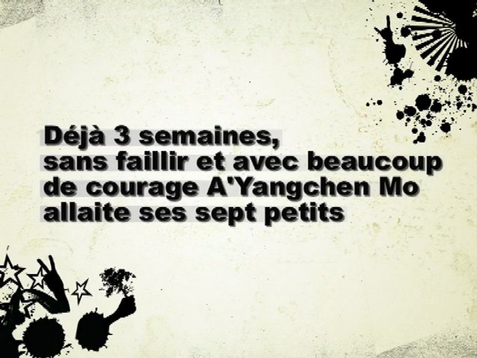Trois semaines déjà. BB A'yangchen Mo