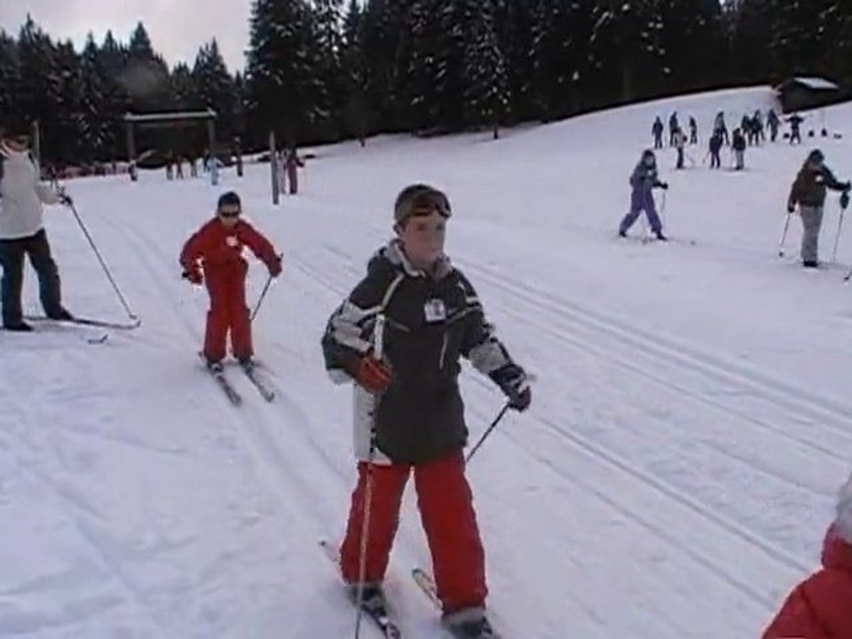 fondsboeglin