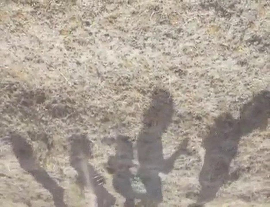 Un projet compagnons en Equateur 2009