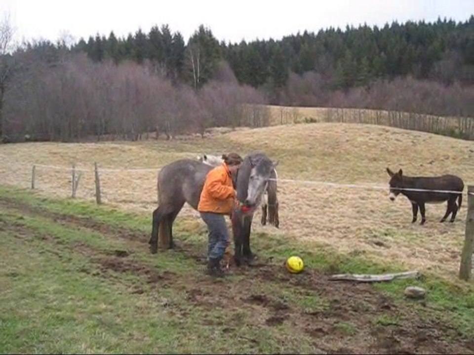 2eme séance foot avec Ukal
