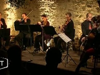 La Simphonie du Marais (Vendée)