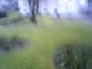 les tour jumelle de chez chez moi et ses trips..............ny nick ya