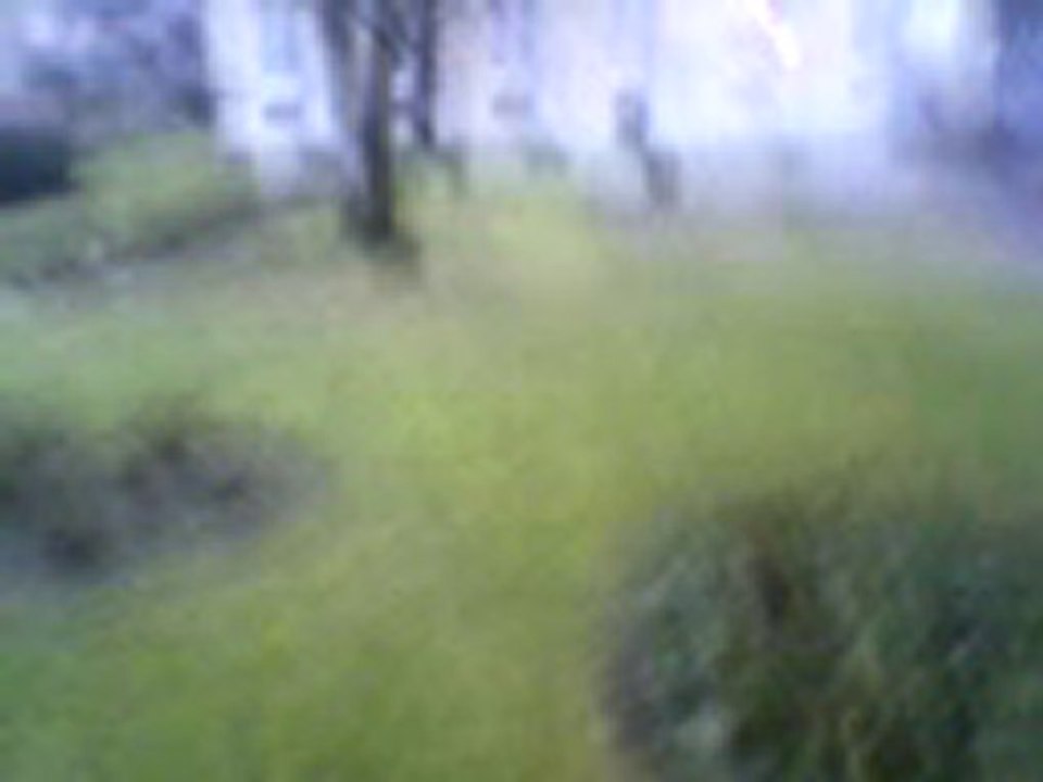 les tour jumelle de chez chez moi et ses trips..............ny nick ya