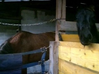 fait connaissance avec Ohio