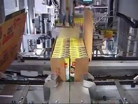 Encaisseuse en barquettes et wrap around-2/2