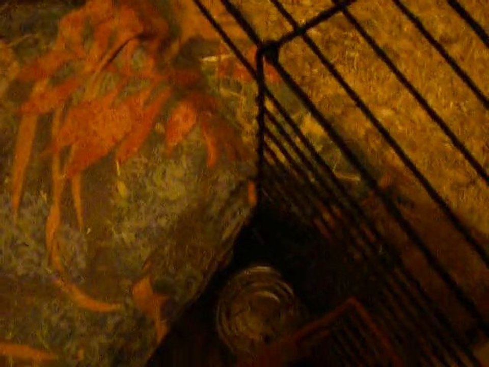 6h du mat chez les mâlous : vite , le ptit déj!!!!!