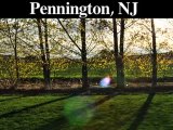 Tree Trimming-Pruning Service | Pennington, NJ
