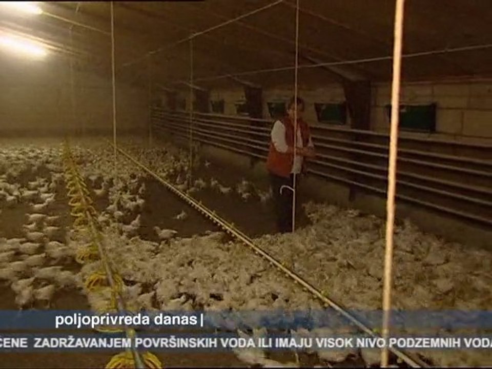 Poljoprivreda danas 11.01.2011.