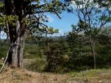 Terrain 5.006 m² Tamarindo / Costa Rica
