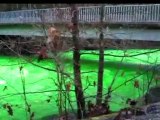 River turns luminous green