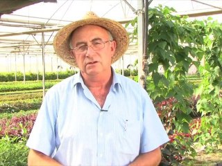 La veritat del sistema sanitari