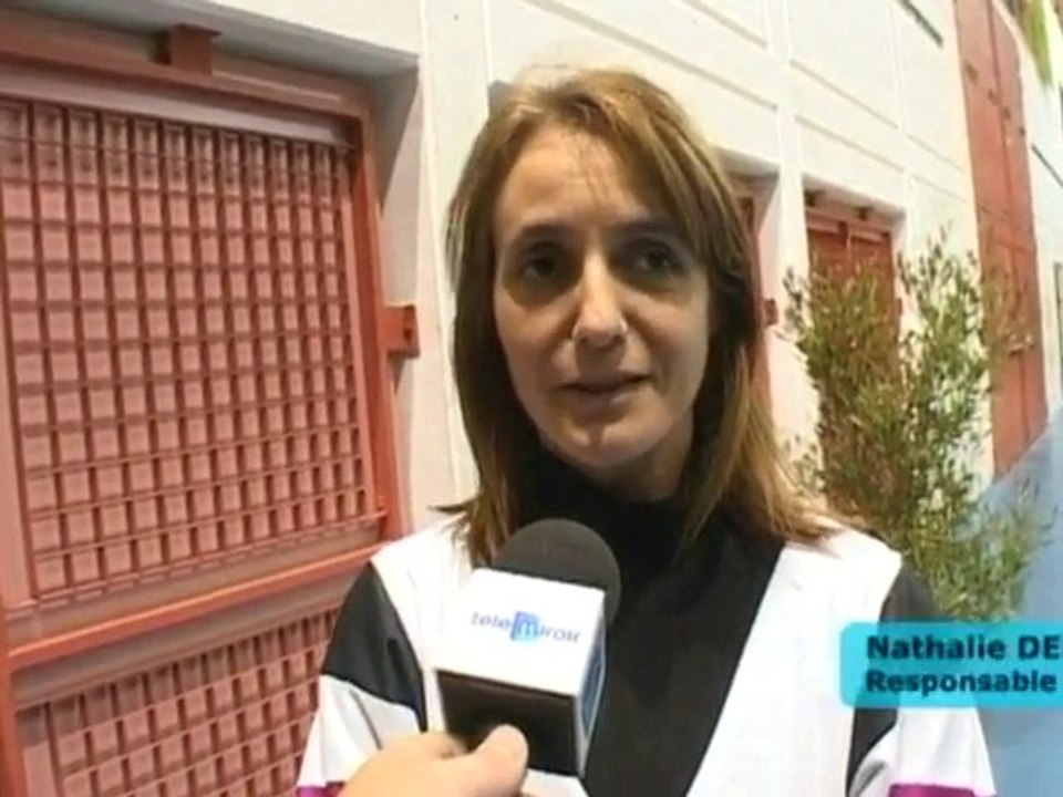 Grand Prix de Gymnastique 2011 de Nîmes