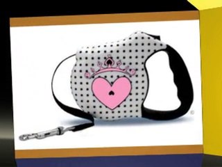 Designer Retractable Dog Leashes