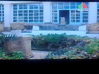 LE ROI BERBERE JUBA 2 et SA CLEOPATRE SELENE EN ALGERIE