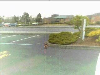 Walking with My Dachshund Gibbers at Marina Port of Everett