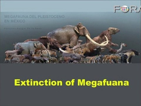 Kevin Kelly: The First Technology? Humanity Itself