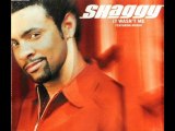 Shaggy - It Wasn't Me