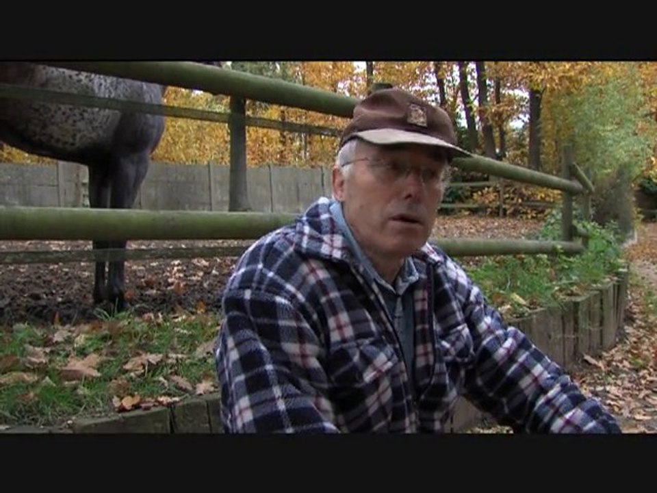 Une louve tchèque dans Saint-prix