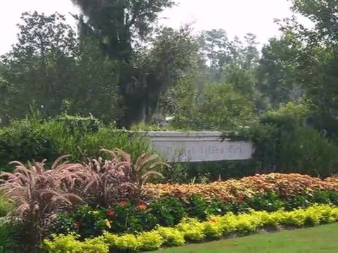 Homes for Sale - 122 Iron Bottom Ln - Charleston, SC 29492 - Lynn Carmody