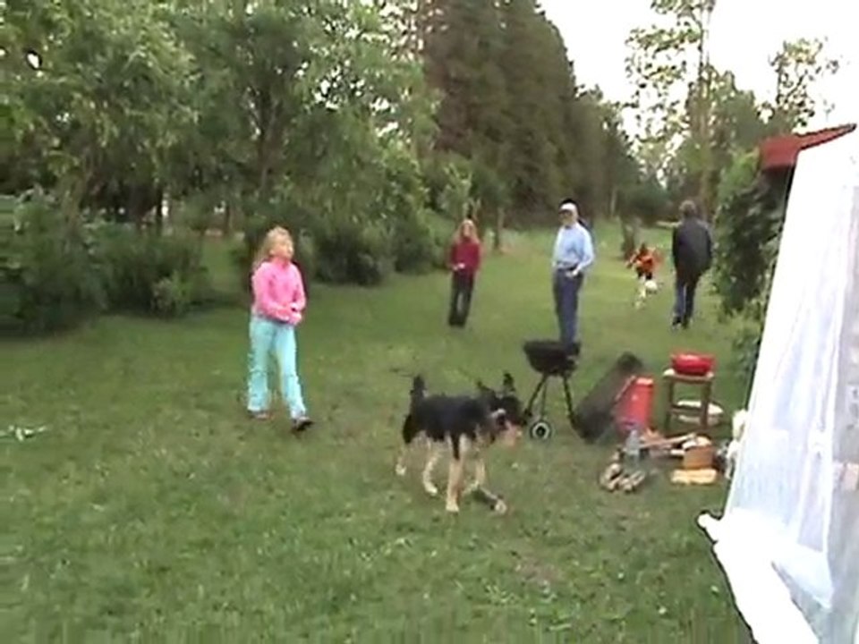 20080620200035