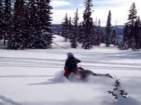 Steamboat Powersports Pro-Rider The Goat