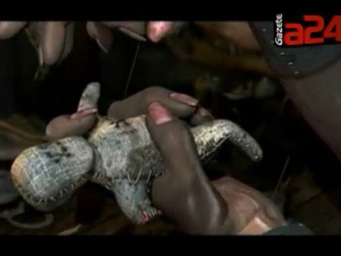 26 ödüllü kısa animasyon filmi (gazetea24.com)