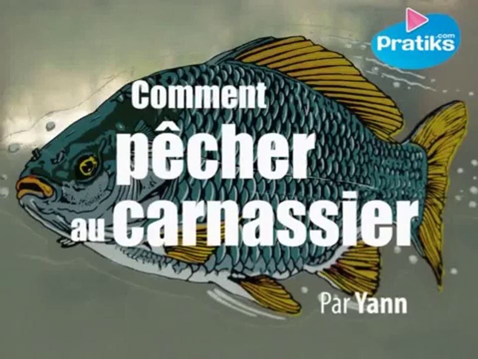 Comment pêcher au carnassier?