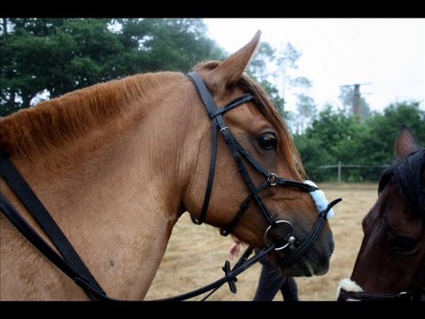 Quintête Quatre Vents version longue
