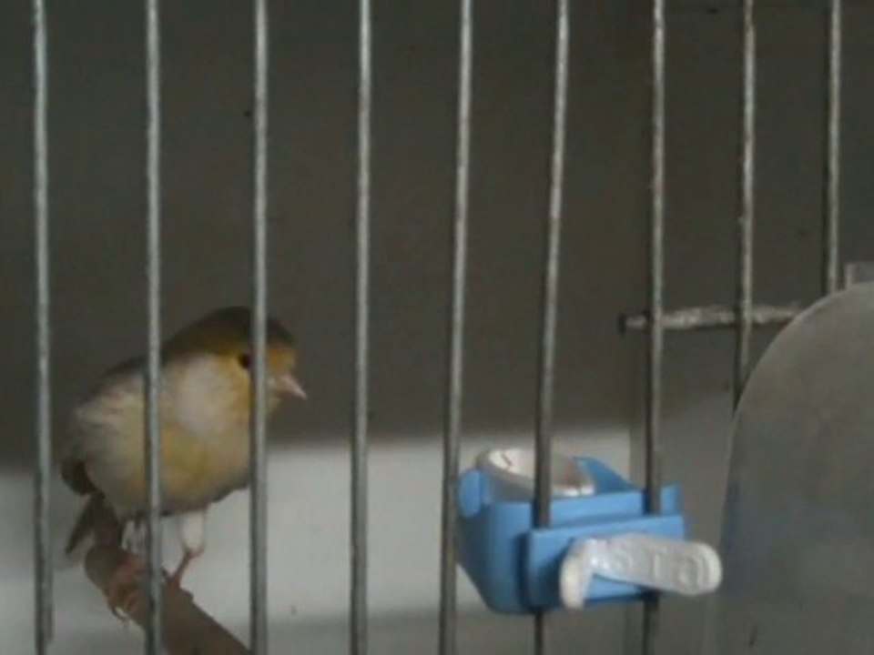 20110112141845