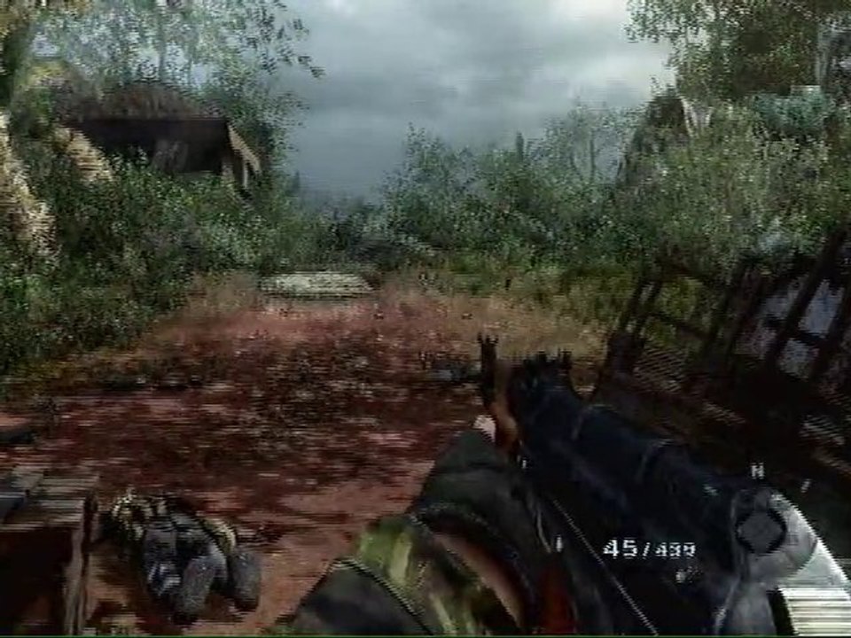 Bug Call of duty black ops