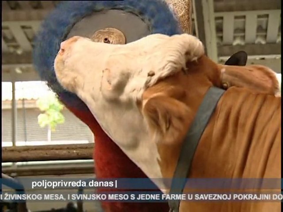 Poljoprivreda danas 12.01.2011.