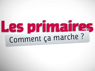 Les primaires , mode d'emploi