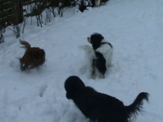 Diane fait la fofolle dans la neige